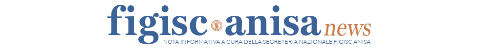 Figisc-Anisa News Logo